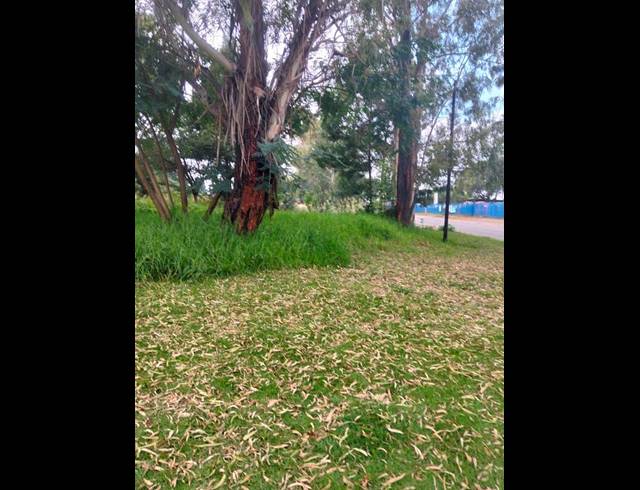 LAND FOR SALE IN ROODEKRANS